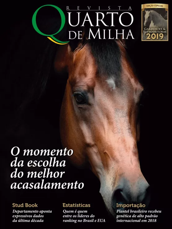 Fotógrafo de cavalos, o itanheense Tony Mendes foi agraciado com prêmios nacionais e internacionais 