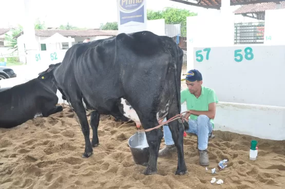 Aconteceu Hoje (15/08): Abertura Oficial da 22ª Exponhém e Comemoração dos 66 Anos de Itanhém - Veja Entrevista