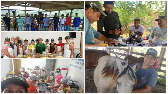 Sindicato Rural de Itanhém Realizou em Novembro Cinco Cursos Profissionalizantes Gratuitos